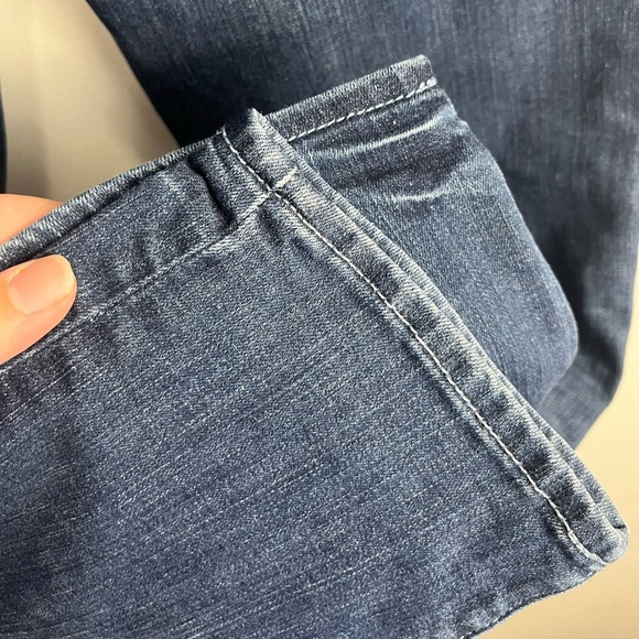 Anthropolgie Pilcro and the Letterpress Skinny Stet Jean
size 31 - Picture 5 of 7